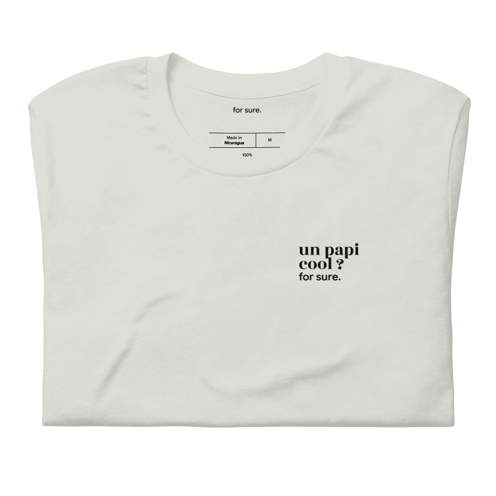 T-shirt gris « un papi cool ? for sure. », plié