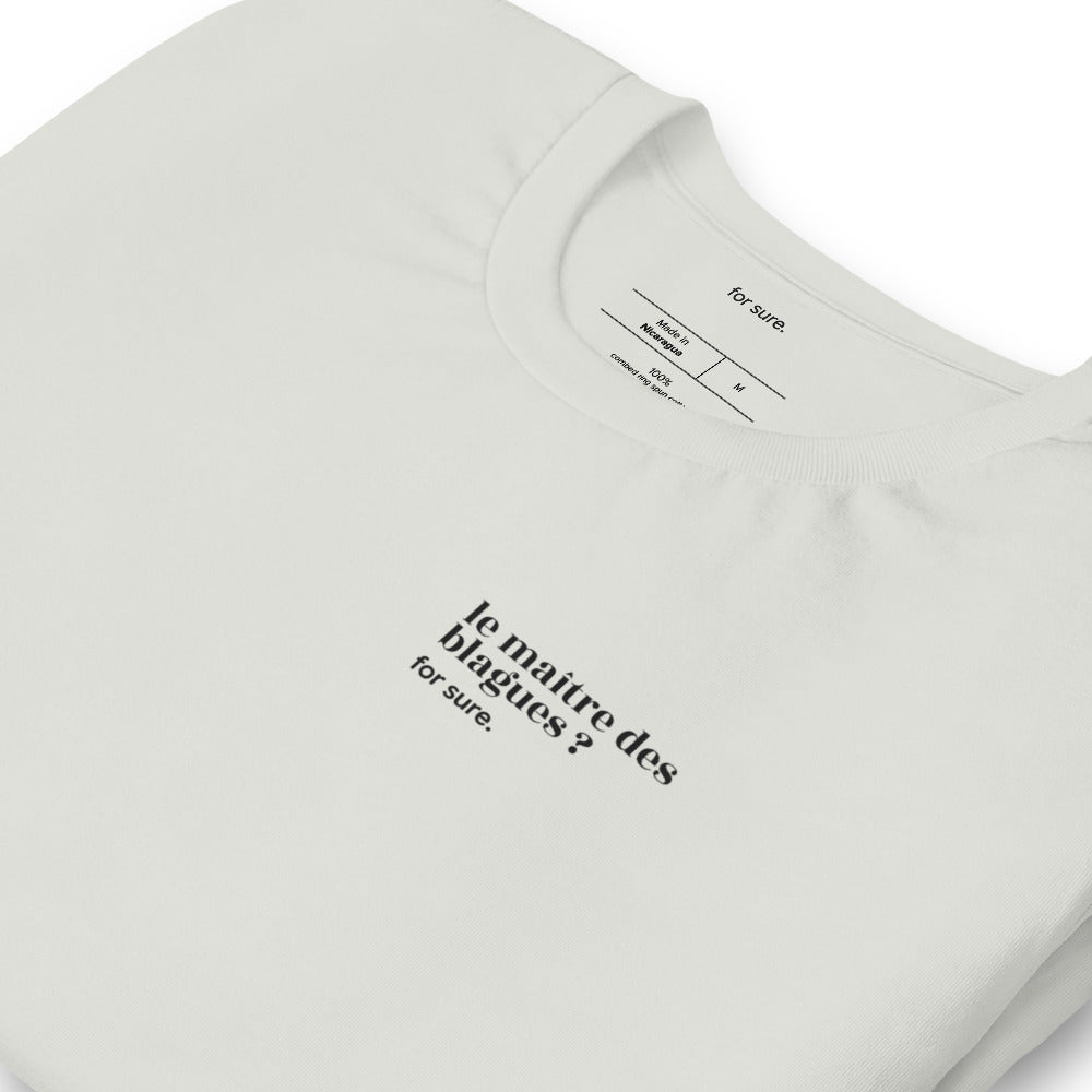 T-shirt gris « le maître des blagues ? for sure. », vue en biais