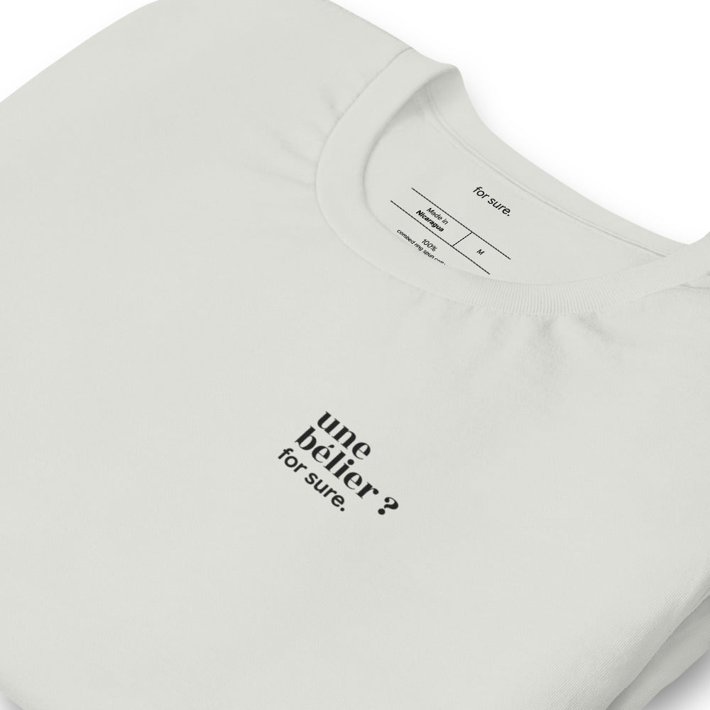 T-shirt gris « une bélier ? for sure. », vue en biais