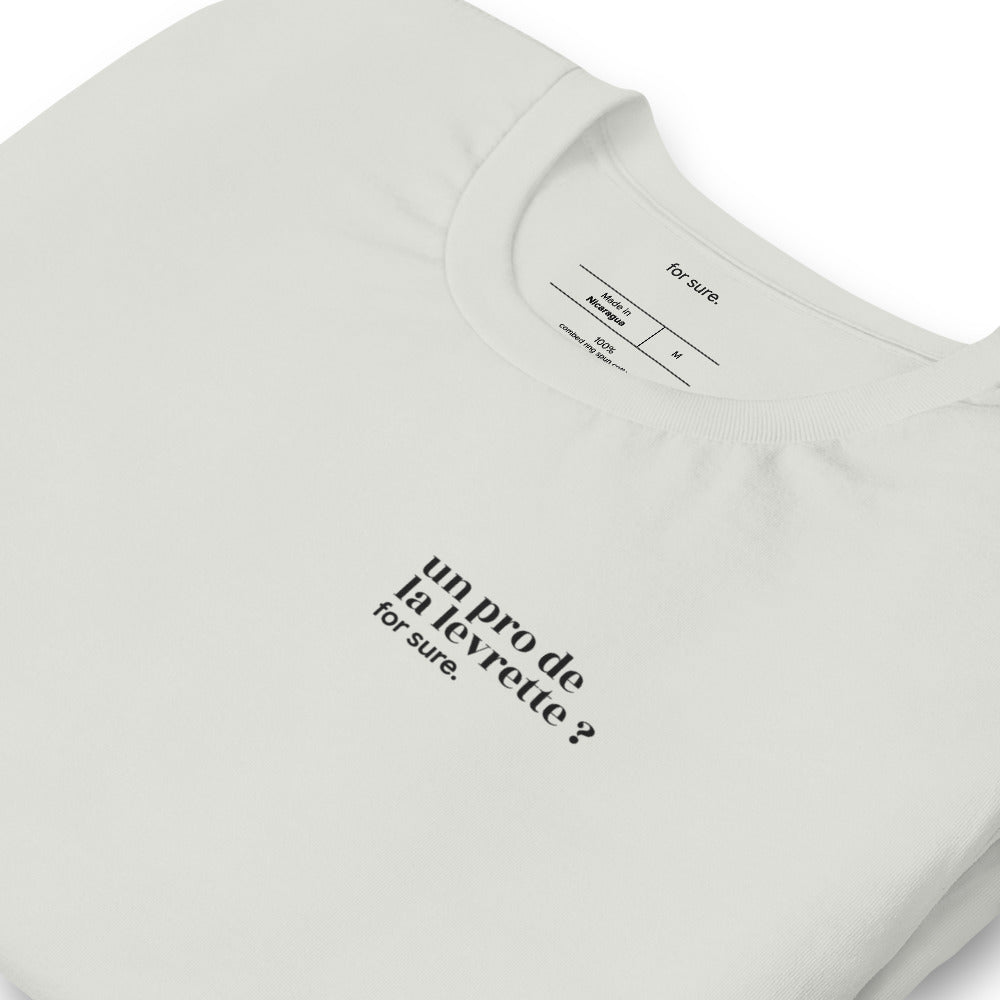 T-shirt gris « un pro de la levrette ? for sure. », vue en biais